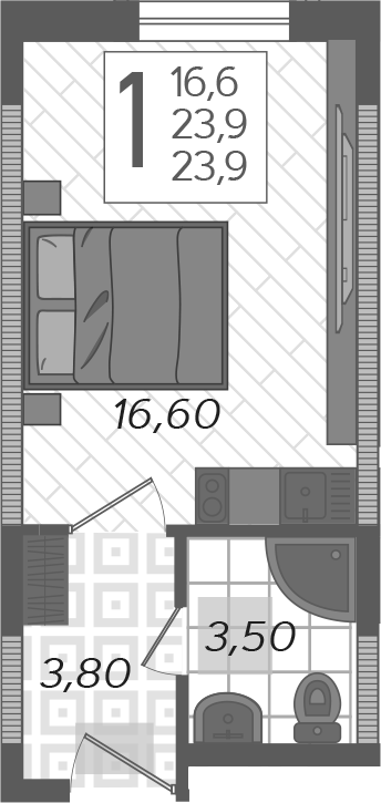 Планировка 23.9 м²