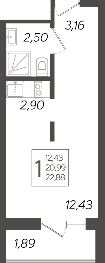 Студия · 20.99 м²