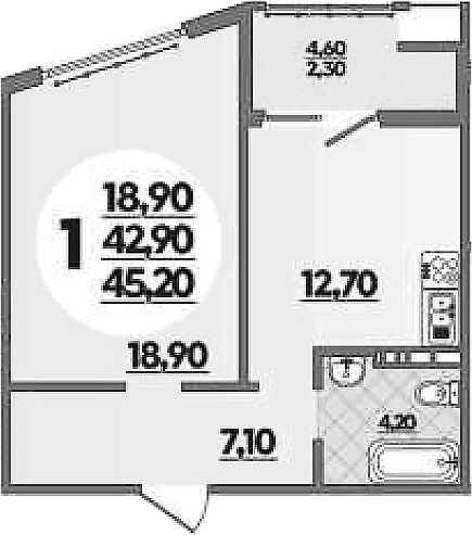 Планировка 42.9 м²