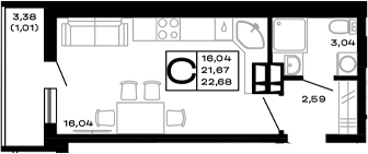 Планировка 21.67 м²