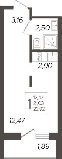 Студия, 21.03 м²