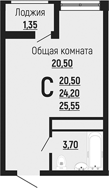 Планировка 24.2 м²