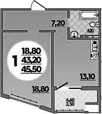 Планировка 43.2 м²