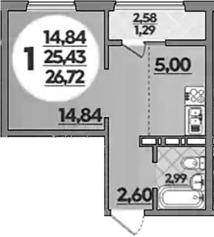 Планировка 25.43 м²