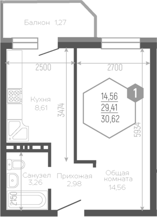 Планировка 29.63 м²