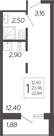 Планировка 20.96 м²