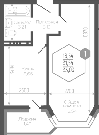 Планировка 31.01 м²