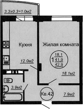 Планировка 43.89 м²