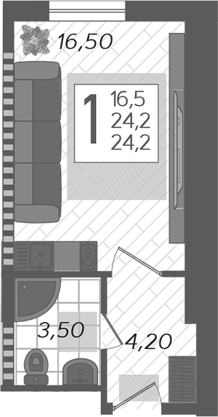 Планировка 24.2 м²